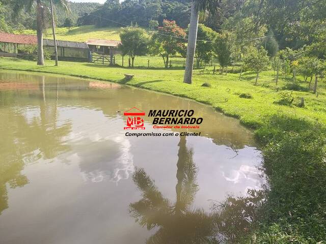 #2066 - Sítio para Venda em Morungaba - SP - 2