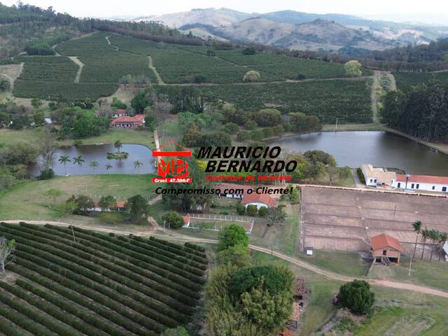 #2070 - Fazenda para Venda em Amparo - SP - 3